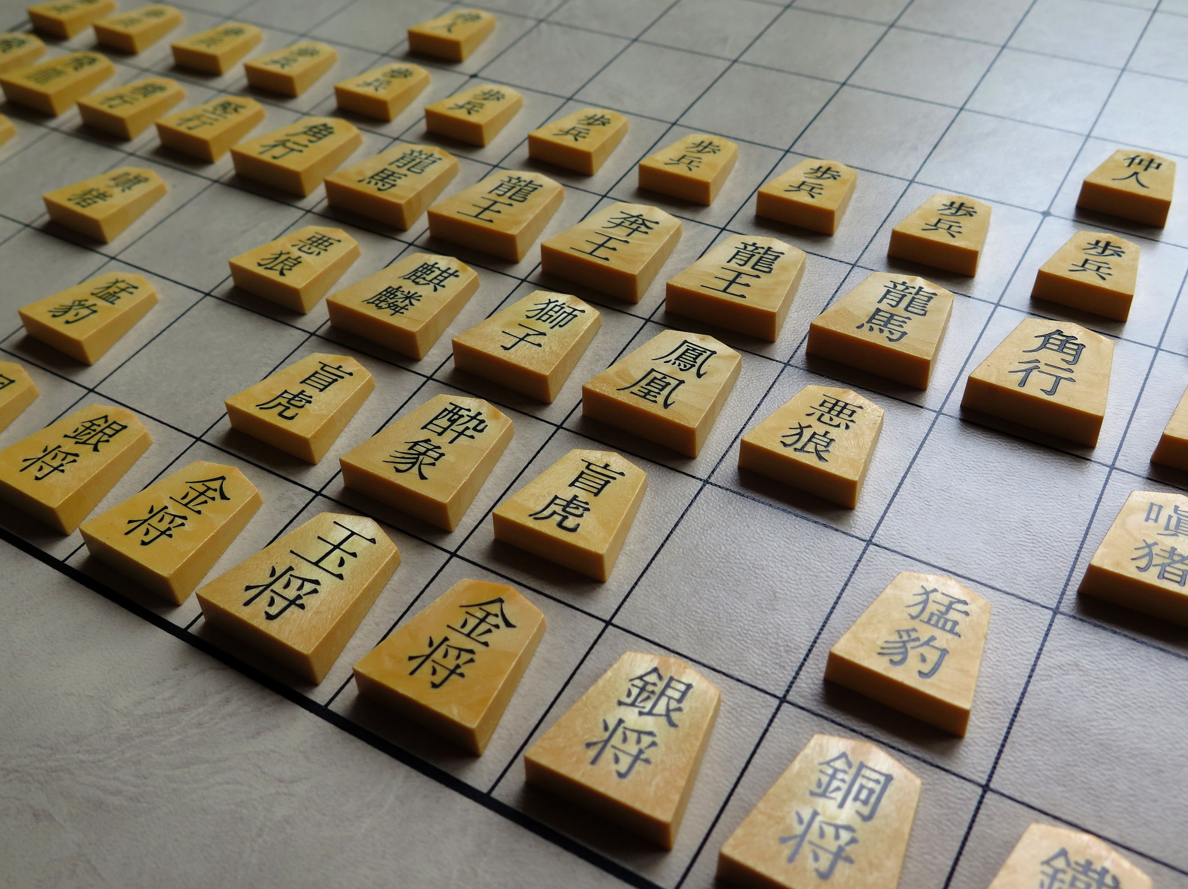 dai shogi closeup