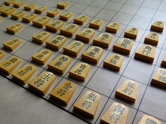 dai shogi closeup