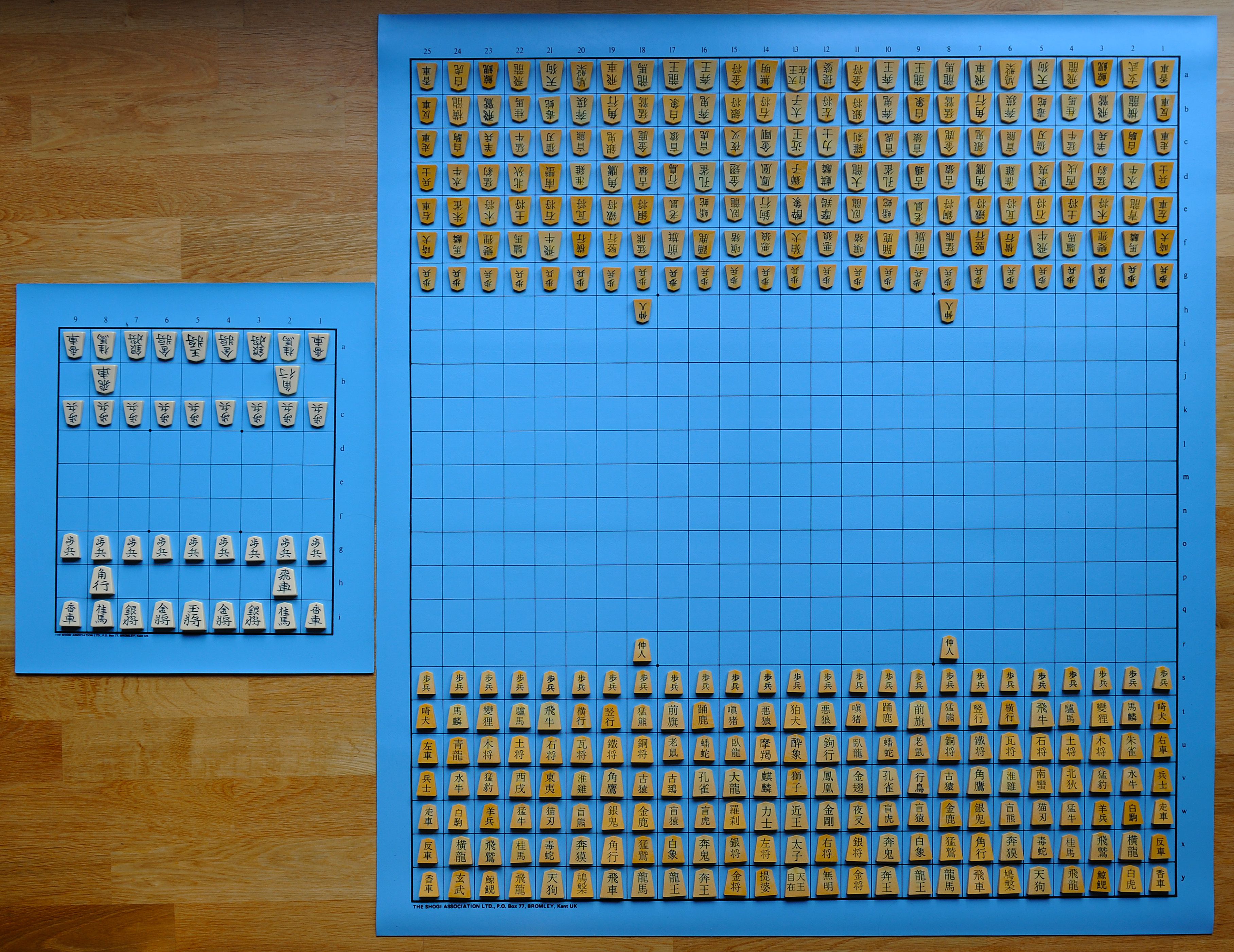 tai shogi vs shogi comparison