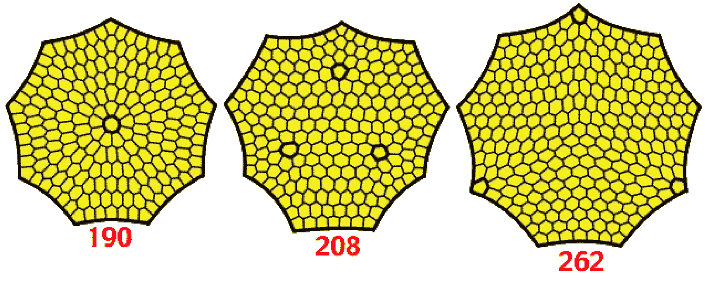 poly-y-board-official
