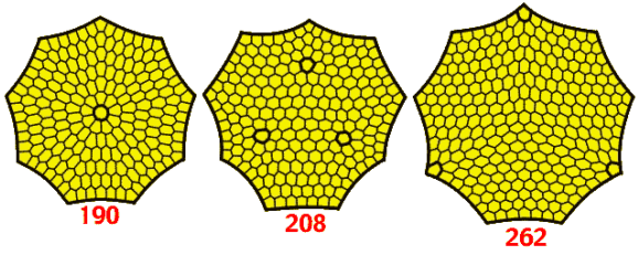 poly-y-board-official