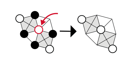 onyx-double-capture-diagram-01