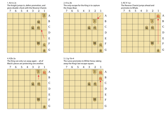 dai-shogi-puzzle-2-5moves-solution2-01